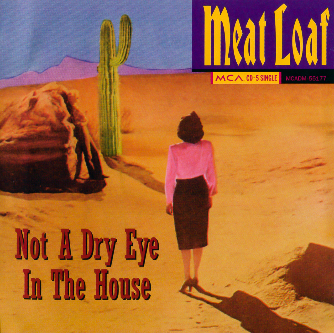 NOT A DRY EYE IN THE HOUSE cover art