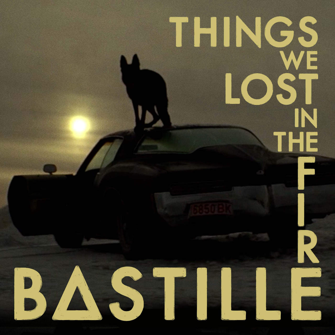 THINGS WE LOST IN THE FIRE cover art