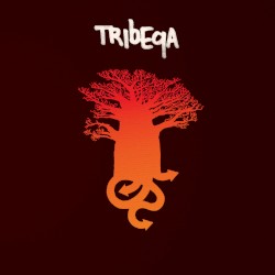 Tribeqa by Tribeqa