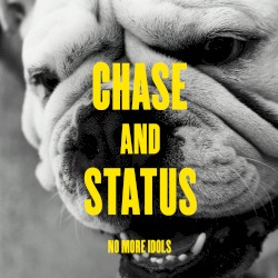 No More Idols by Chase & Status