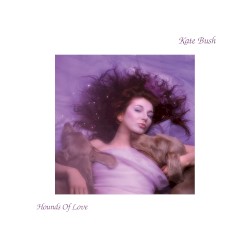 Hounds of Love by Kate Bush
