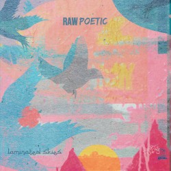 Laminated Skies by Raw Poetic  and   Damu the Fudgemunk