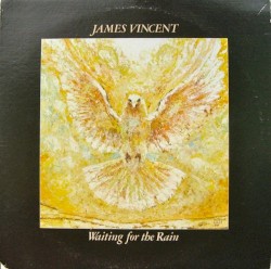 Waiting for the Rain by James Vincent