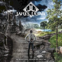 Beautiful Shade of Grey by James LaBrie