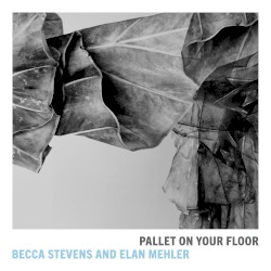 Pallet On Your Floor by Becca Stevens  and   Elan Mehler