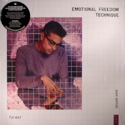 Emotional Freedom Technique by Dave Depper