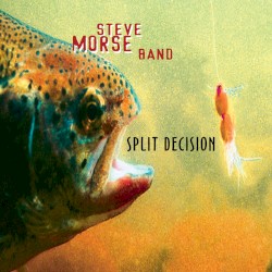 Split Decision by Steve Morse Band