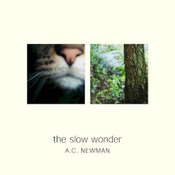 The Slow Wonder by A.C. Newman