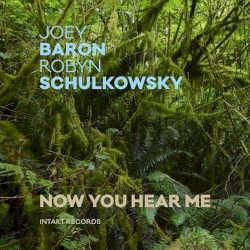 Now You Hear Me by Joey Baron ,   Robyn Schulkowsky