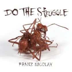 Do the Struggle by Franz Nicolay