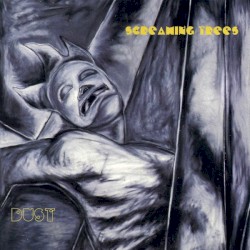 Dust by Screaming Trees