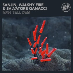 Nah Tell Dem by Sanjin ,   Walshy Fire  &   Salvatore Ganacci
