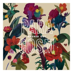 Paracosm by Washed Out