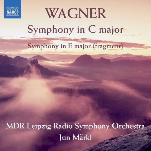 Symphony in C major / Symphony in E major (fragments)