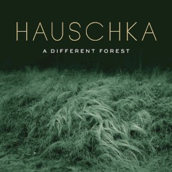 A Different Forest by Hauschka
