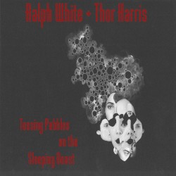 Tossing Pebbles on the Sleeping Beast by Ralph White  +   Thor Harris