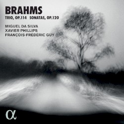Trio, op. 114 / Sonatas, op. 120 by Brahms ;   Miguel da Silva ,   Xavier Phillips ,   François-Frédéric Guy