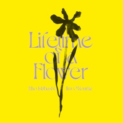 Lifetime of a Flower by Eiko Ishibashi  /   Jim O’Rourke