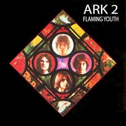 Ark 2 by Flaming Youth