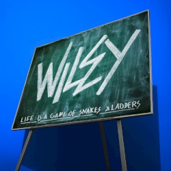 Snakes & Ladders by Wiley
