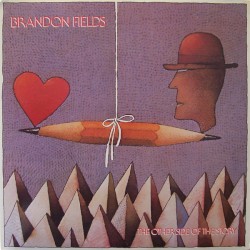 The other side of the story by Brandon Fields