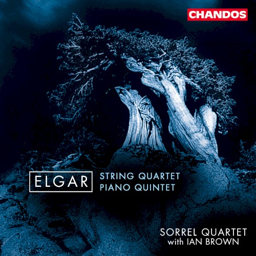 String Quartet / Piano Quintet