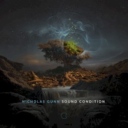 Sound Condition by Nicholas Gunn