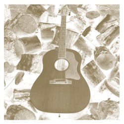 VDSQ Solo Acoustic Vol. 11 by Michael Chapman
