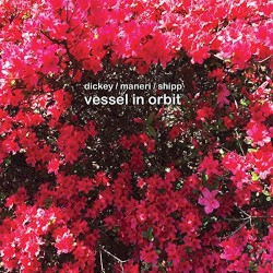 Vessel in Orbit by Dickey  /   Maneri  /   Shipp