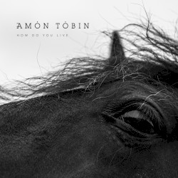 How Do You Live by Amon Tobin