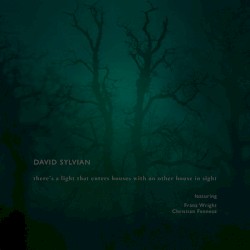 There's a Light That Enters Houses With No Other House in Sight by David Sylvian