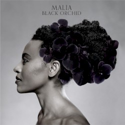 Black Orchid by Malia