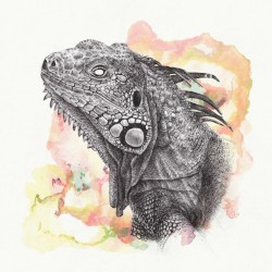 Epsilon Iguana by Great Dane