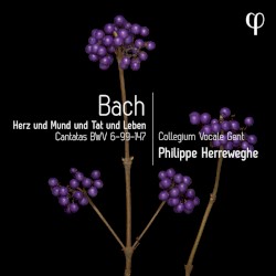 Herz und Mund und Tat und Leben by Johann Sebastian Bach ;   Collegium Vocale Gent ,   Philippe Herreweghe