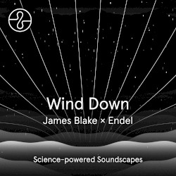 Wind Down by James Blake  &   Endel