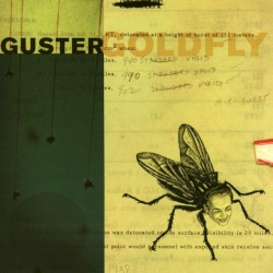 Goldfly by Guster