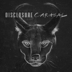 Caracal by Disclosure