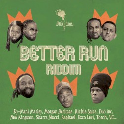 Better Run Riddim by Dub Inc