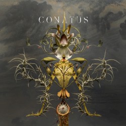 Conatus by Joep Beving