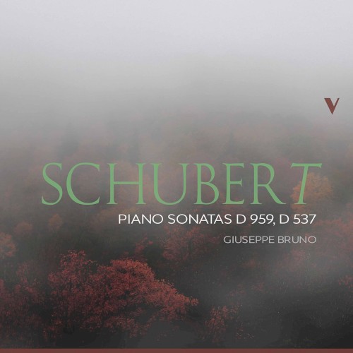 Piano Sonatas D 959, D 537