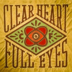 Clear Heart Full Eyes by Craig Finn