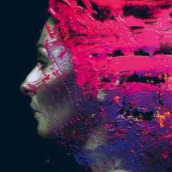 Hand. Cannot. Erase. by Steven Wilson