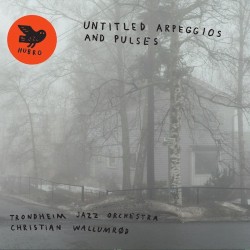 Untitled Arpeggios and Pulses by Trondheim Jazz Orchestra  &   Christian Wallumrød