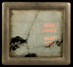 Short Cuts by Brain Damage