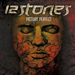 Picture Perfect by 12 Stones