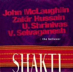 The Believer by Remember Shakti