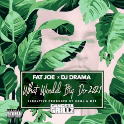 What Would Big Do 2021 by Fat Joe ,   DJ Drama  &   Cool & Dre