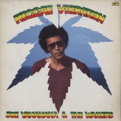 Reggae Vibration by Joe Yamanaka  &   The Wailers