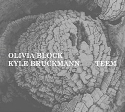 Teem by Olivia Block  &   Kyle Bruckmann