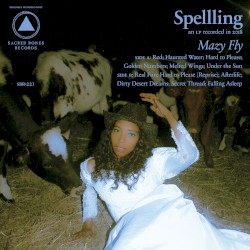 Mazy Fly by Spellling